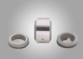 Sanitary Pump Seal 003